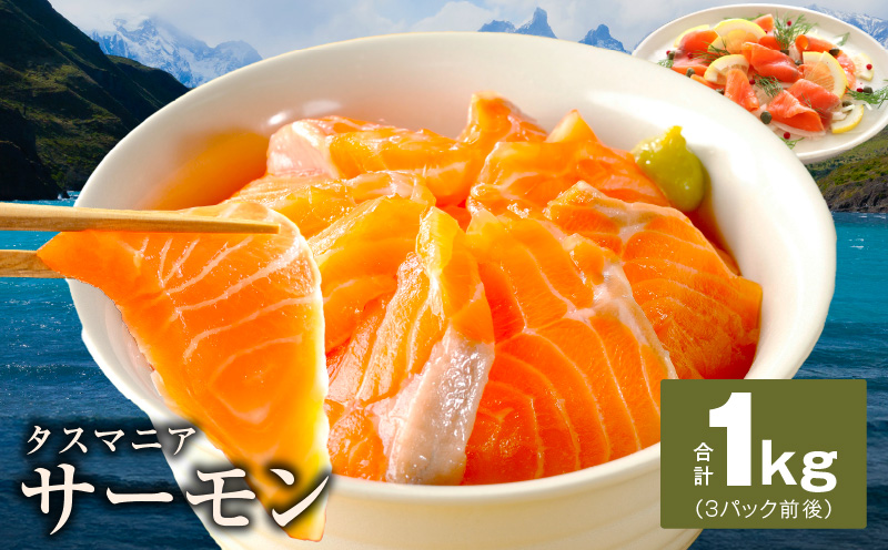 タスマニアサーモン 1kg【アトランティクサーモン 真空パック 小分け ブロック 訳あり サイズ不揃い 上質 刺身 海鮮丼 サラダ 冷凍 物価高応援】 kgp0054