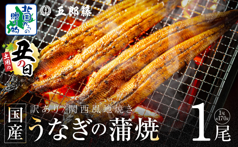 【7/26土用の丑の日】数量限定！！老舗「五郎藤」関西風地焼き 国産有頭旨鰻 170g前後×1尾【訳あり うなぎ ウナギ 蒲焼き 炭火】 099H3440d