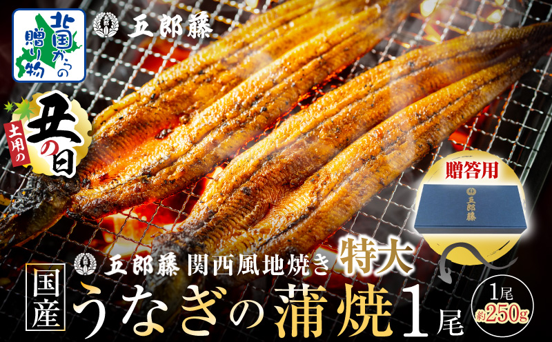 【7/26土用の丑の日】五郎藤 関西風地焼き 国産有頭旨鰻 250g×1尾 計約250g 【贈答用 特大 うなぎ ウナギ 蒲焼き 炭火】 099H3443-1d