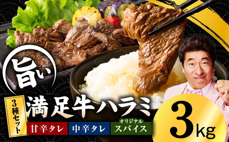 【満足牛ハラミ】3種セット （甘辛タレ漬け・中辛タレ漬け・オリジナルスパイス仕込み）  合計3kg 【味付け ハラミ 小分け 焼くだけ 簡単調理 BBQ 牛肉 250g×12P 普段使い】 099H4191