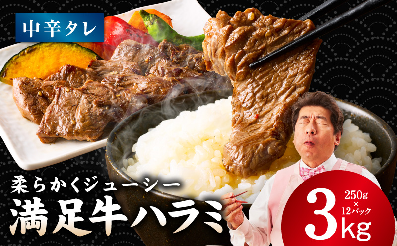 【満足牛ハラミ】中辛タレ漬け 合計3kg 【味付け ハラミ 小分け 焼くだけ 簡単調理 BBQ 牛肉 250g×12P 普段使い】 099H4200