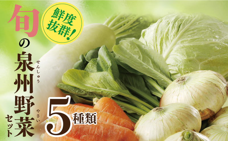 旬の野菜セット 詰め合わせ 5種類 国産 新鮮 お試し おまかせ お楽しみ 099H4172