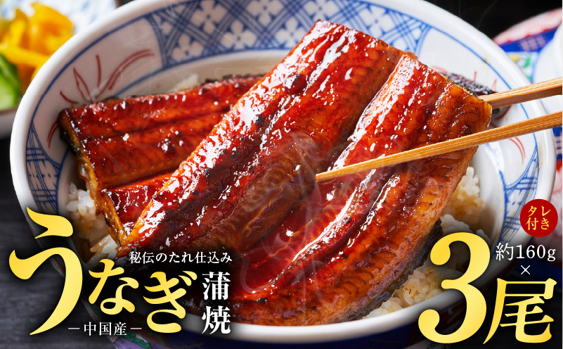 秘伝のたれ仕込み うなぎ蒲焼 合計480g（約160ｇ×3尾）鰻 ウナギ 中国産 温めるだけ 簡単 レンジ調理 ふっくらふわふわ 炭火焼き 備長炭 手焼き kgp0066