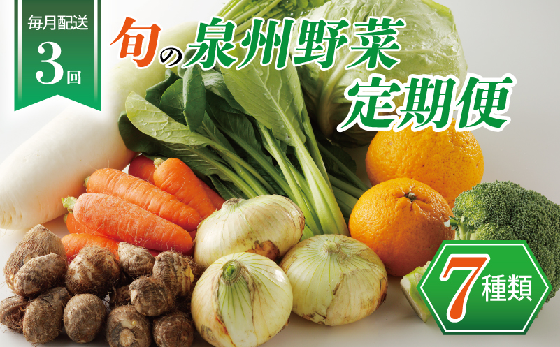 泉州野菜 定期便 7種類×全3回【毎月配送 国産 野菜 やさい 詰め合わせ セット 新鮮 旬 ええもん ていきびん】 099Z111
