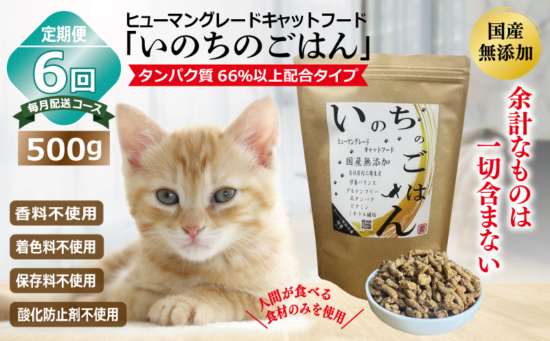 【定期便】国産無添加 キャットフード 500g×全6回「いのちのごはん」タンパク質 66％以上配合タイプ【猫 ねこ ペットフード チキン 手作り ヒューマングレード 国産 毎月配送】 099Z333