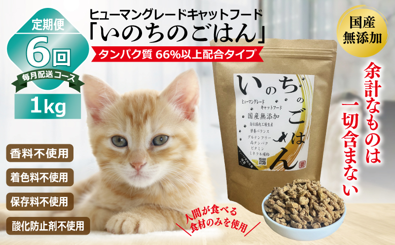 【定期便】国産無添加 キャットフード 1kg×全6回「いのちのごはん」タンパク質 66％以上配合タイプ【猫 ねこ ペットフード チキン 手作り ヒューマングレード 国産 毎月配送】 099Z334