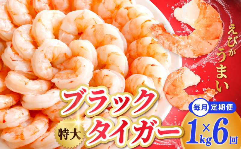 特大ブラックタイガー 定期便 1kg×全6回 むきえび 30-40尾 背ワタなし【毎月配送コース】 kgp0114