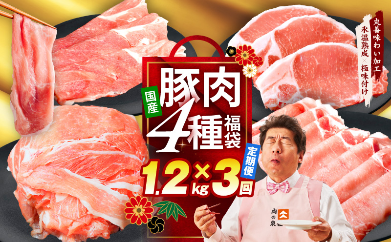 【定期便】国産 豚肉 4種 総量 1.2kg×3回【氷温熟成×極味付け 300g×4P 小分け ぶたにく 普段使い 野菜炒め】 mrzZ001