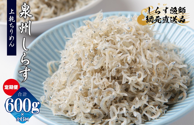 上乾ちりめんしらす 600g×全6回【定期便 小分け シラス しらす sirasu 海鮮 人気 おすすめ 産地直送】 G2191