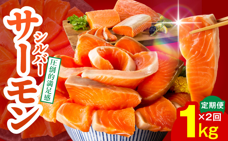 サーモン 定期便 1kg×全2回【ポーション 訳あり サイズ不揃い 刺身 海鮮丼 さーもん サラダ カルパッチョ 鮭 さけ シャケ しゃけ 人気 小分け 冷凍 家計応援】 099Z345
