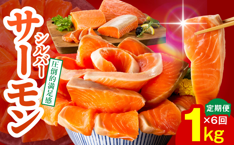 サーモン 定期便 1kg×全6回【ポーション 訳あり サイズ不揃い 刺身 海鮮丼 さーもん サラダ カルパッチョ 鮭 さけ シャケ しゃけ 人気 小分け 冷凍 家計応援】 099Z347