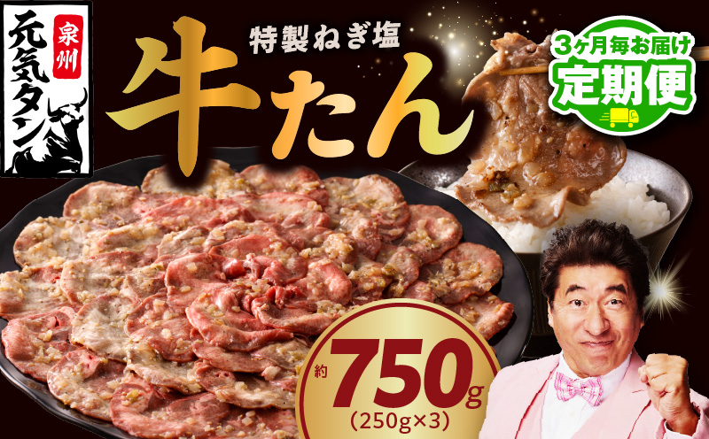 【定期便】ねぎ塩 牛たん 750g 小分け 250g×3【牛タン 牛肉 焼肉用 薄切り 訳あり サイズ不揃い 2026年3月＆6月発送 全2回】 099Z427