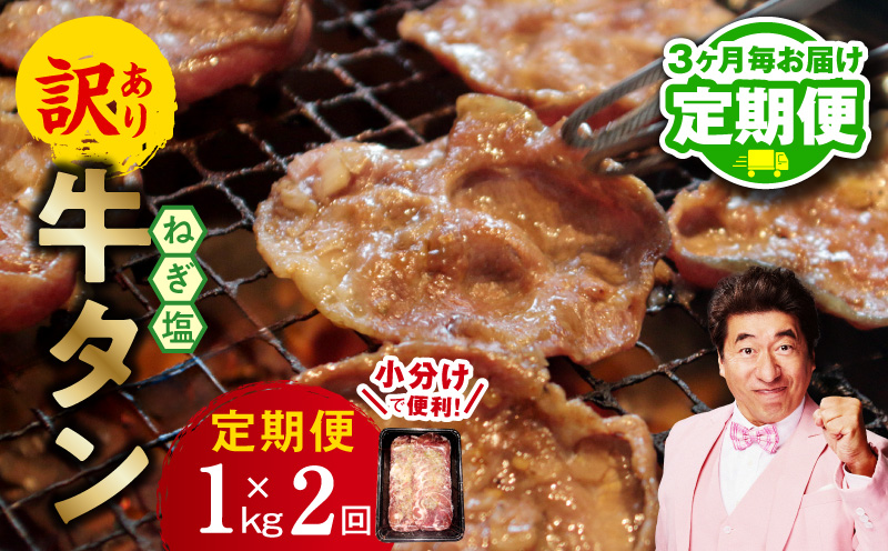 【定期便】ねぎ塩 牛たん（成型）合計 1kg 小分け 250g×4【牛タン 牛肉 焼肉用 薄切り 訳あり サイズ不揃い 2026年3月＆6月発送 全2回】 099Z433