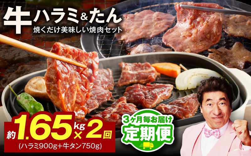 【定期便】牛ハラミ肉 ＆ 牛たん 総量 1.65kg【大人気の食べ比べ ハラミ 牛タン 小分け 牛肉 焼肉セット BBQ 訳あり サイズ不揃い 2026年3月＆6月発送 全2回】 099Z442