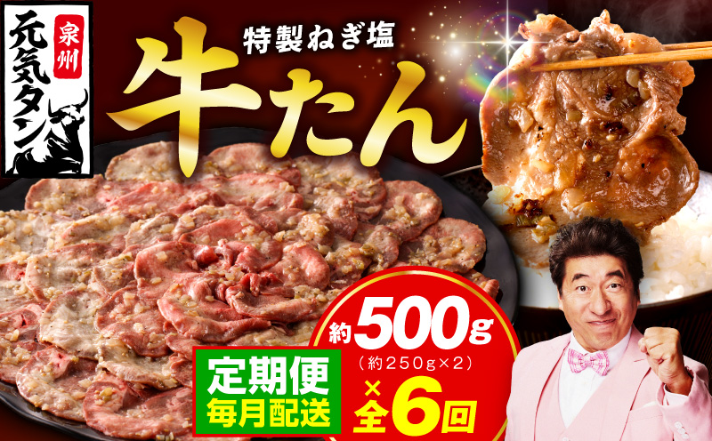 【定期便】ねぎ塩 牛たん 500g 全6回【毎月配送コース 牛タン 牛肉 焼肉用 薄切り 訳あり サイズ不揃い】 099Z458