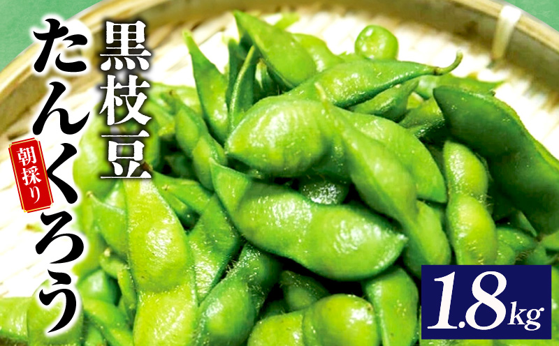 【畑から直送 朝採り】黒枝豆 1.8kg 【新鮮 野菜 泉佐野産 えだまめ やさい TONOファーム 高評価 数量限定 先行予約】 005A061