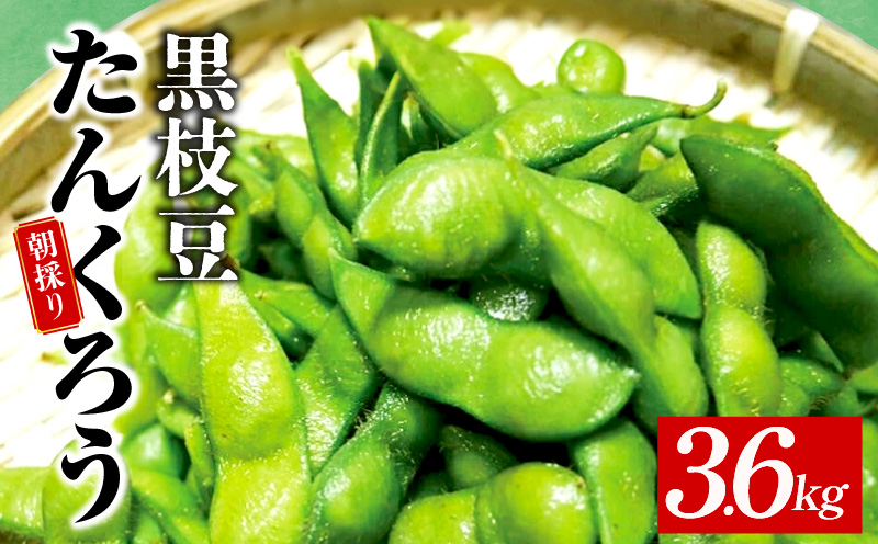 【畑から直送 朝採り】黒枝豆 3.6kg 【新鮮 野菜 泉佐野産 えだまめ やさい TONOファーム 高評価 数量限定 先行予約】 010B141