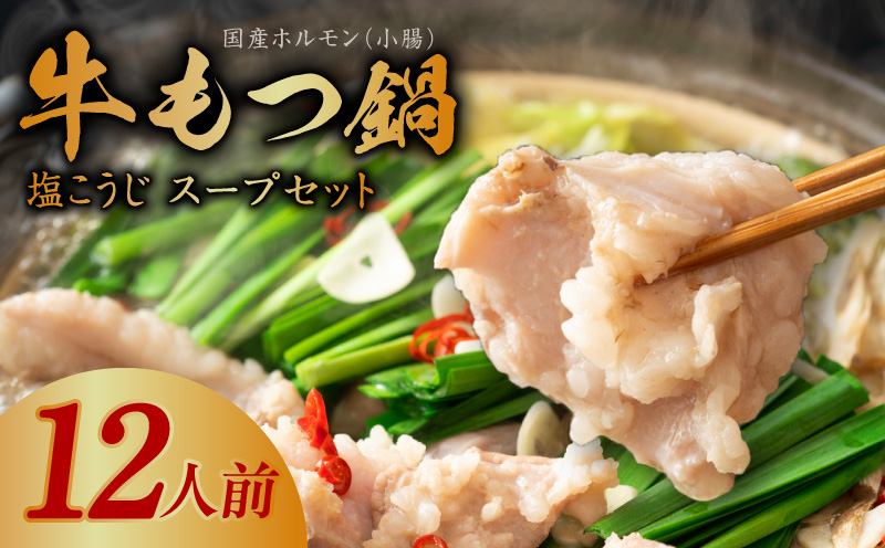 牛もつ鍋セット 12人前【国産 牛肉 ホルモン 塩こうじ スープ付き モツ 鍋 高評価 冷凍 鍋セット 簡単調理】 099H3151
