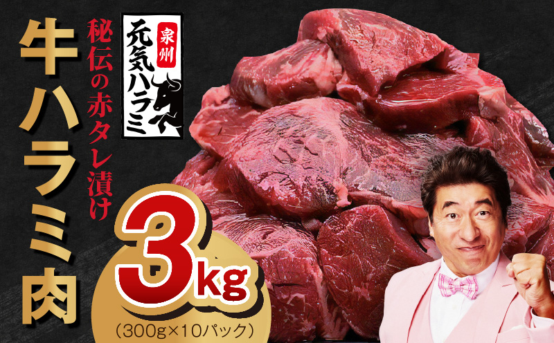 【TVで紹介！】牛ハラミ肉 3kg（300g×10）秘伝の赤タレ漬け 訳あり サイズ不揃い 099H4053