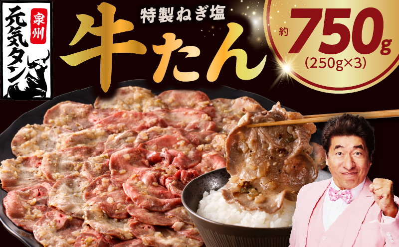 ねぎ塩 牛たん 750g 小分け 250g×3【牛タン 牛肉 焼肉用 薄切り 訳あり サイズ不揃い】 010B1528