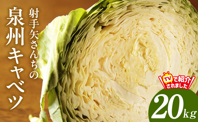 【スピード発送】射手矢さんちの泉州キャベツ 20kg【家計応援 新鮮 野菜 やさい 射手矢農園 高評価 きゃべつ 訳あり サイズ不揃い 数量限定 TVで紹介！】 G3675