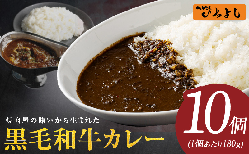 焼肉屋の黒毛和牛カレー 180g×10個【レトルト 惣菜 お試し 本格かれー 簡単調理 防災 備蓄 小分け】 099H3724