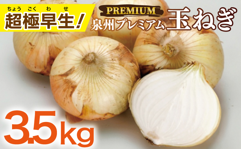 【先行予約】泉州たまねぎ 3.5kg【超極早生 玉ねぎ 農家直送 新鮮 野菜 やさい 期間限定】 005A737