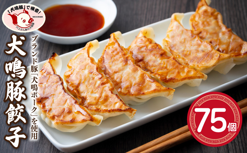 【泉佐野ブランド豚】犬鳴豚餃子 75個 (25個×3袋) 099H3920