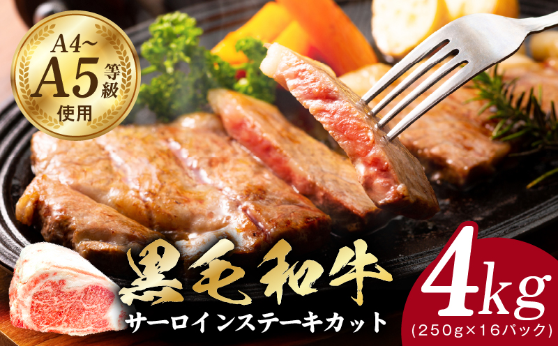 A5/A4ランク 黒毛和牛 サーロインステーキカット 合計4kg（250g×16P）【極味付け肉】 G3644-1