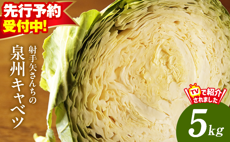 【先行予約】泉州キャベツ 5kg 2～5玉 射手矢農園 訳あり サイズ不揃い【家計応援 2～5玉 新鮮 野菜 やさい 高評価 数量限定 TVで紹介！】 ity0018