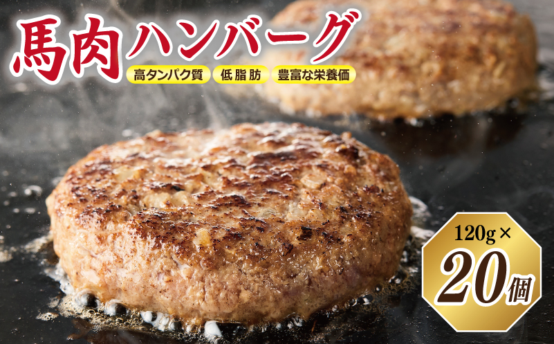 桜文 馬肉ハンバーグ 総量2.4kg（120g×20個） 個包装 099H3402