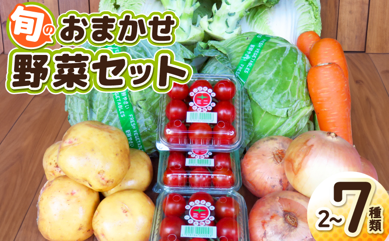 旬のおまかせ野菜 セット 2～7種類【産地直送 国産 やさい 新鮮 おまかせ 詰め合わせ 詰合せ】 G3452