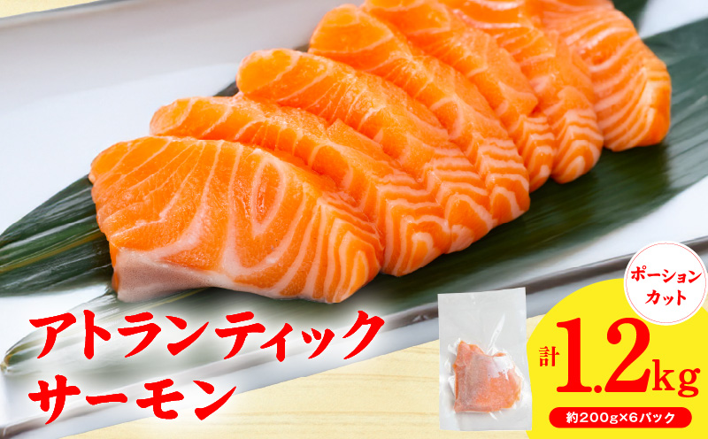 【スピード発送】アトランティックサーモン 1.2kg【小分け 200g×6P 柵切り 刺身 魚介 海鮮 さーもん 生食】 G3561
