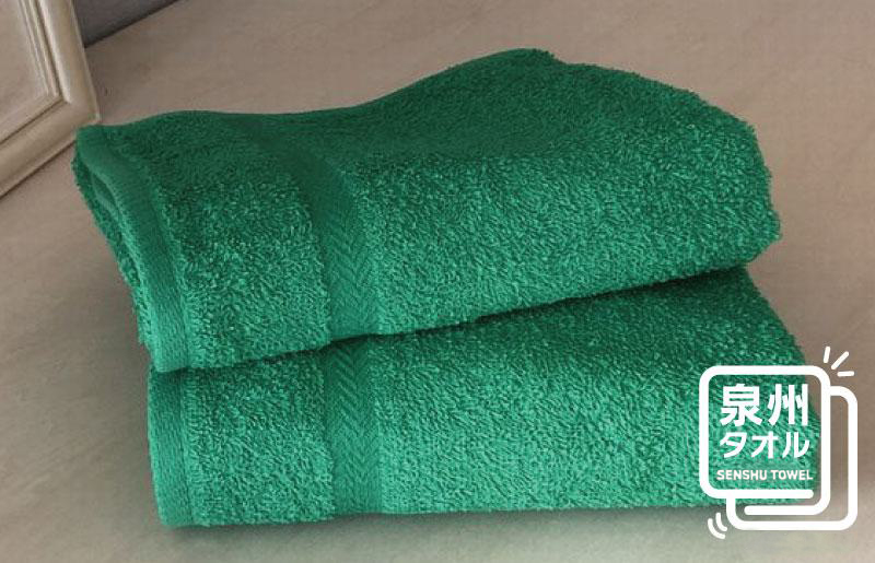 コーマカラーフェイスタオル 2枚（スペクトルグリーン) 【泉州タオル 国産 吸水 薄手 普段使い 無地 シンプル 日用品】 005A630