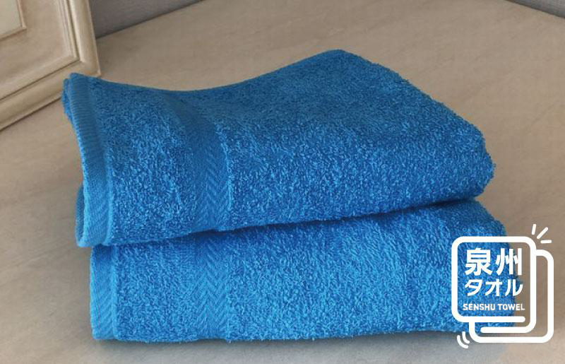 コーマカラーフェイスタオル 2枚（スマートブルー) 【泉州タオル 国産 吸水 薄手 普段使い 無地 シンプル 日用品】 005A633
