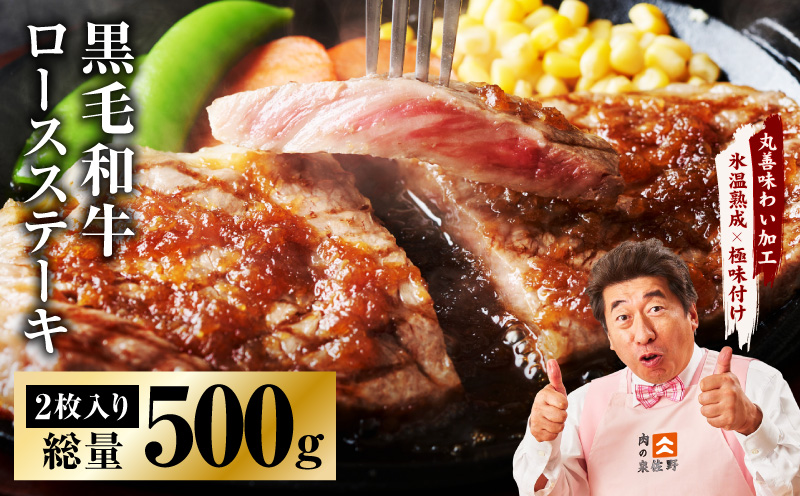 黒毛和牛 ロースステーキ 2枚 総量 500g【氷温熟成×極味付け 国産 牛肉 経産牛 すてーき 訳あり サイズ不揃い】  mrz0002