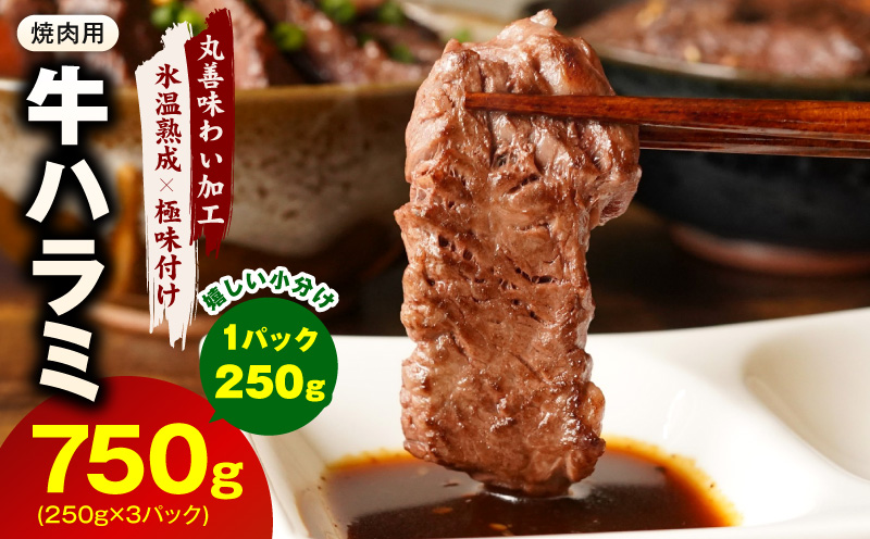 牛肉 ハラミ 750g 小分け 250g×3P【氷温熟成×極味付け 牛肉 訳あり 不揃い 焼肉 BBQ 野菜炒め 圧倒的企業努力】 mrz0249-1