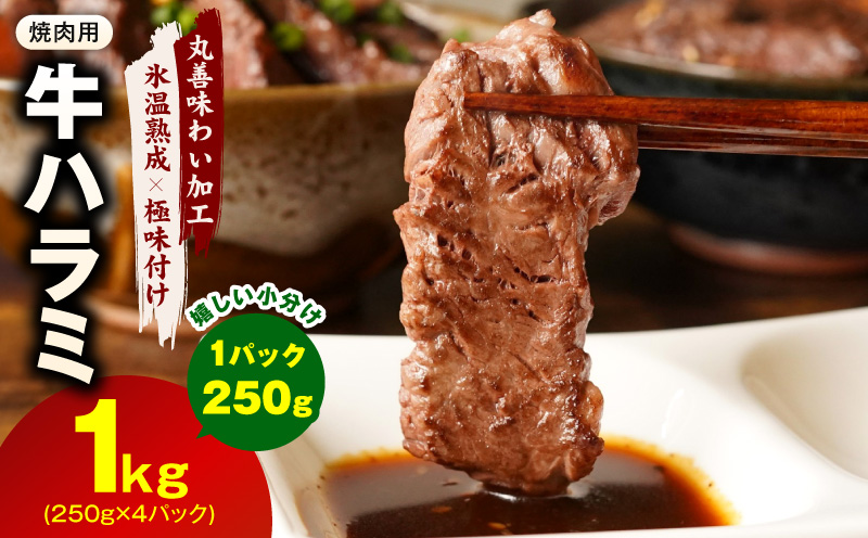 牛肉 ハラミ 1kg 小分け 250g×4P【氷温熟成×極味付け 味付き 牛肉 訳あり 不揃い 焼肉 BBQ 野菜炒め 圧倒的企業努力】 mrz0250-1