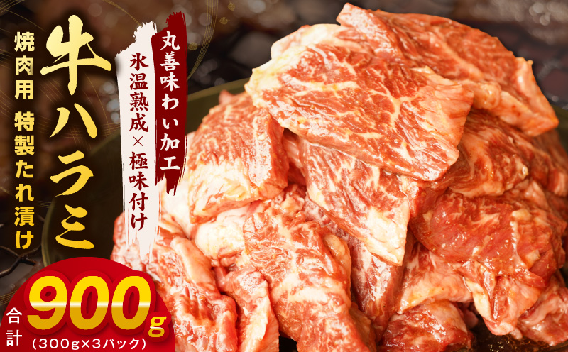 牛肉 ハラミ 900g 小分け 300g×3P【氷温熟成×特製ダレ 味付き 牛肉 訳あり 不揃い 焼肉 BBQ 野菜炒め】 mrz0268