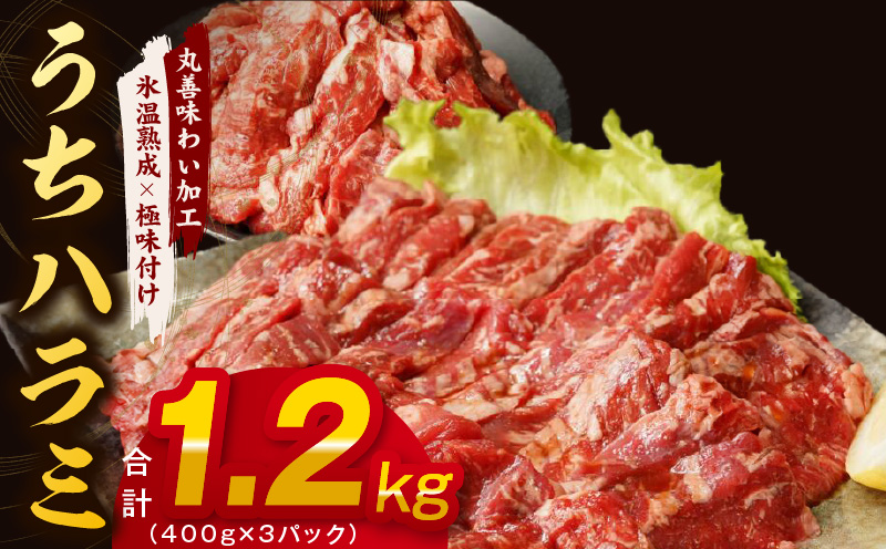 【希少部位】牛肉 うちハラミ 1.2kg 小分け 400g×3P【氷温熟成×特製ダレ 味付き 牛肉 訳あり 不揃い 焼肉 BBQ 野菜炒め】 mrz0252