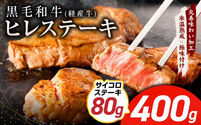 【特別規格】黒毛和牛 ヒレステーキ ＋ サイコロステーキ 合計 480g【氷温熟成×極味付け 牛肉 和牛 経産牛 訳あり サイズ不揃い 規格外 数量限定】 mrz0319