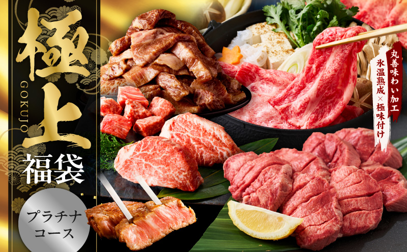 極上福袋 プラチナコース 5種 4kg以上【牛肉 ステーキ 牛タン 焼肉 しゃぶしゃぶ すき焼き 氷温熟成×極味付け】 mrz0339
