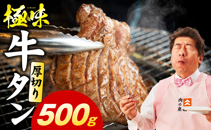 厚切り牛たん 500g【氷温熟成×旨塩ダレ 味付き 訳あり サイズ不揃い 500g 小分け 焼くだけ 焼肉】 mrz0282