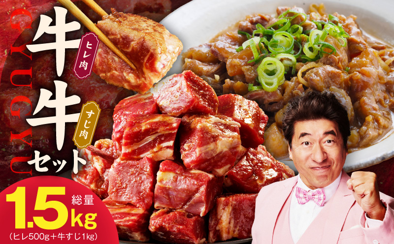 【氷温熟成×特製ダレ】牛ヒレ 500g＋牛すじ肉 1kg 総量1.5kg【味付き 訳あり サイズ不揃い 小分け 冷凍 SDGs フードロス カレー 煮込みに】 mrz0379