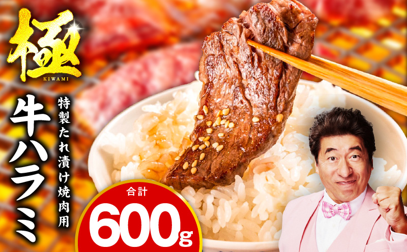 【お試し】牛肉 ハラミ 600g（300g×2P）【氷温熟成×特製ダレ】 mrz0388