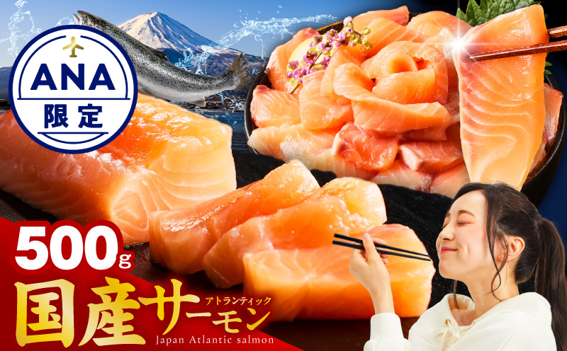 国産アトランティックサーモン 500g ポーション【小分け 真空パック 訳あり サイズ不揃い 刺身 海鮮丼 さーもん 鮭 さけ シャケ しゃけ 冷凍】 nbj0010