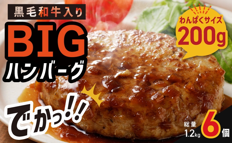 黒毛和牛入り BIGハンバーグ 200g×6個 005A657