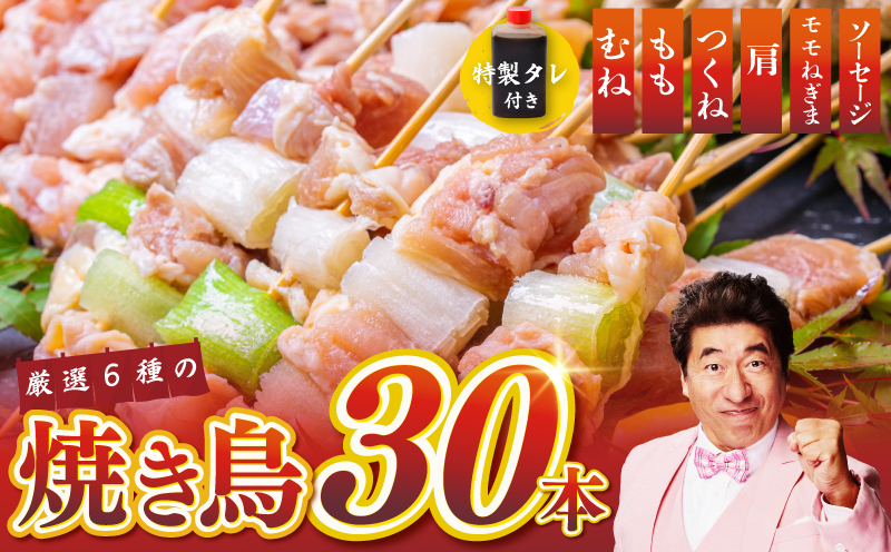 桜文 焼き鳥 6種30本セット やきとりのタレ付き 個包装 099H3403
