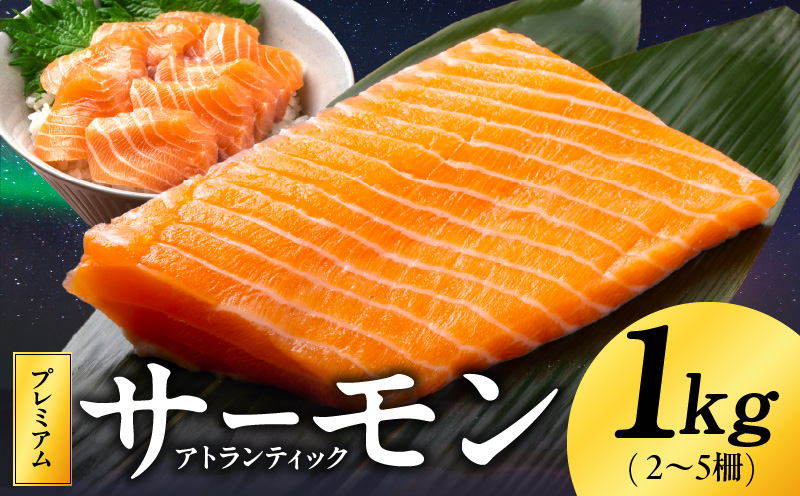 ノルウェー産 プレミアム アトランティックサーモン 1kg 【2～5柵 訳あり サイズ不揃い 上質 刺身 海鮮丼 サラダ 冷凍 物価高応援】 kgp0079