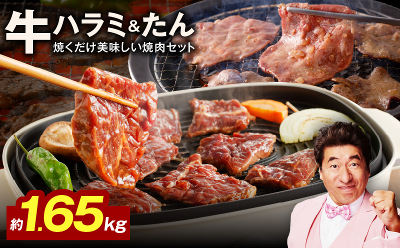 【大人気の食べ比べ】牛ハラミ肉 ＆ 牛たん 総量 1.65kg【ハラミ 牛タン 小分け 牛肉 焼肉セット BBQ 訳あり サイズ不揃い】 020C516